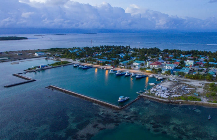 ދާންދޫގައި އެލާޖިކެއް ވެގެން މަރުކަޒަށް ގެންދިޔަ މީހަކު ނިޔާވެއްޖެ