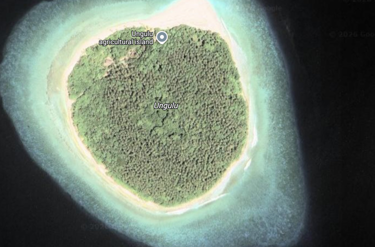 އުނގުލަށް އެންމެންނަށް އެެރޭ ގޮތަށް ބަދަލުކުރަން އަންގައިފި