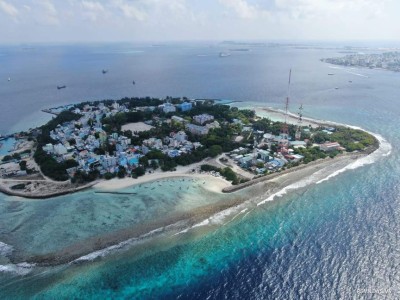 "ހައުސިން ޔުނިޓްތައް އަޅަން އެއްވެސް ފުނަ ގަހެއް ނުކަނޑާނަން"