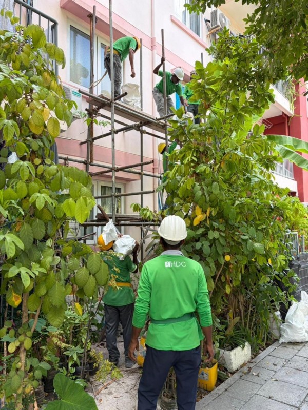 ފޭސް އެކެއްގައި ގާއިމްކޮށްފައިވާ ފްލެޓުތަކުގެ އާބާތުރަފިލުވުމުގެ މަސައްކަތް އެޗްޑީސީއިން ފަށައިފި