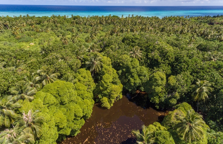 ލ. ގަމު ބޮޑުފެންގަނޑު ސަރަހައްދުގައި އިންފޮމޭޝަން ސެންޓަރެއް އަޅާނެ ބަޔަކު ހޯދަނީ