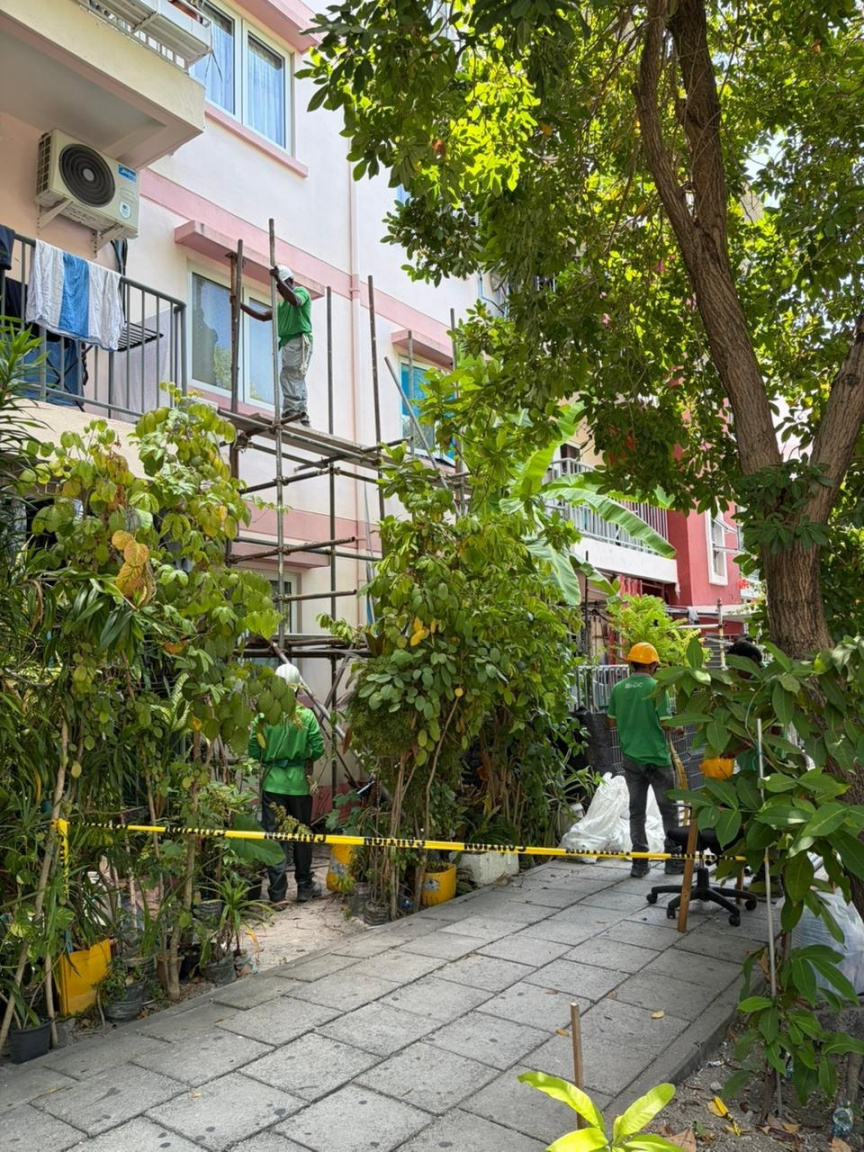 ފޭސް އެކެއްގައި ގާއިމްކޮށްފައިވާ ފްލެޓުތަކުގެ އާބާތުރަފިލުވުމުގެ މަސައްކަތް އެޗްޑީސީއިން ފަށައިފި