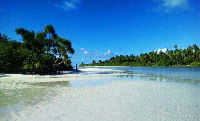 ފިޔޯރީގައި މަސް ހިފަންގޮސް އުޅުނު މީހަކު ގެނބިގެން ނިޔާވެއްޖެ