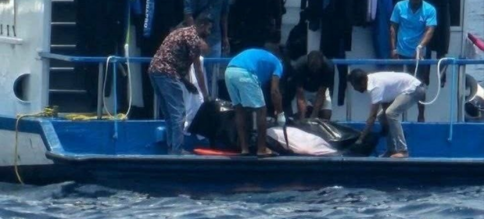 ދޯންޏެއްގެ ބުރަފަތީގައި ޖެހި ފަތުރުވެރިޔަކު ނިޔާވެއްޖެ