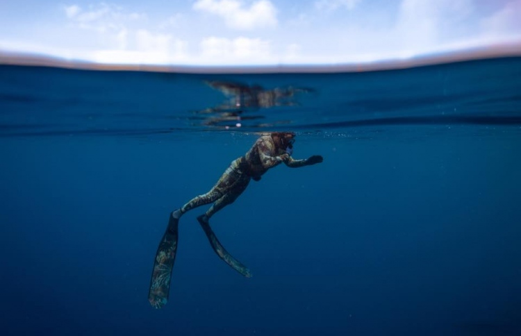 ސްޕިއާ ފިޝިން އަށް އަންނަ މަހު ހުއްދަ ދެނީ