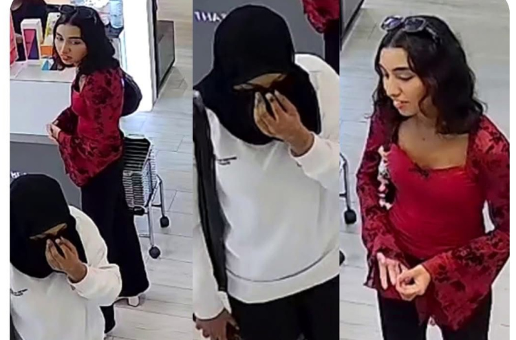 ފޭކް ސްލިޕް ފޮނުވައިގެން ނިއު އެޑިޝަނުން 8،700ރ. ގެ ވިޔަފާރިކުރި ދެ އަންހެނުން ހޯދަނީ