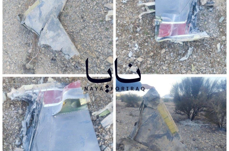 އެމެރިކާގެ ޖެޓެއް ވައްޓާލައިފިން، ޕައިލެޓް ހޯދައިދިން މީހަކަށް އިނާމު ދޭނަން: އީރާން