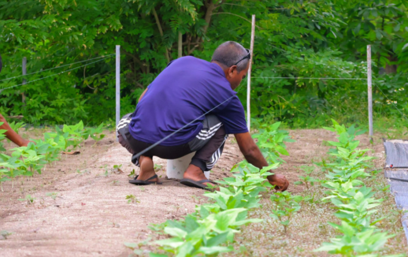ވައިކަރަދޫގެ ދަނޑުވެރިން ހައްދާ ތަކެތި ކުޅުދުއްފުއްޓަށް ގެންދަން ޚާއްސަ ފެރީއެއް ހަމަޖައްސައިފި
