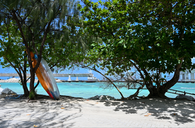 ވިލިމާލޭގައި ފީނަން ގޮސް އުޅުނު މީހަކު މަރުވެއްޖެ