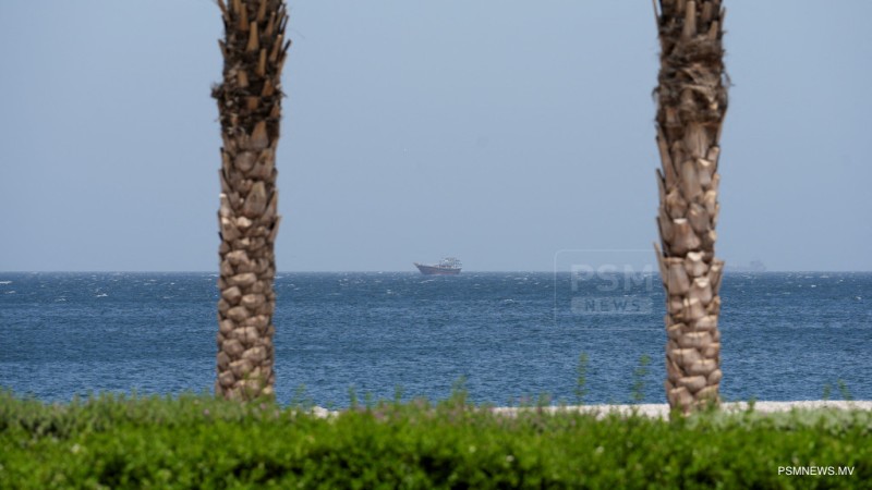 ތެލާއި ގޭހުގެ އަގު ތިރިވާން އެތަކެއް މަހެއް ނަގާނެ