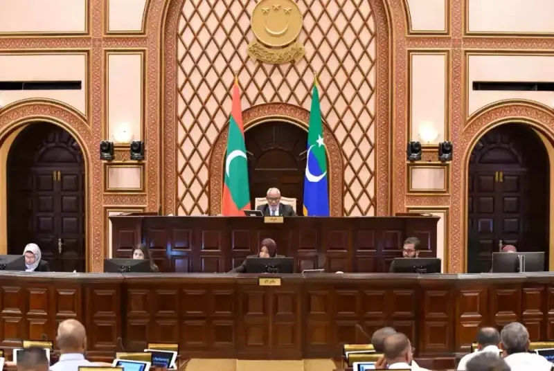 ވަތަނީ ޚިދުމަތުގެ ބިލު ބަލައިގަނެ 241 ކޮމިޓީއަށް ފޮނުވައިފި