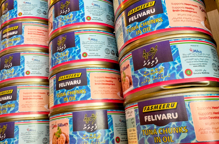 މަސްވެރިކަން ދަށްވުމުން ތެޔޮ މަސްދަޅު ވިއްކާ އަދަދު ލިމިޓްކޮށްފި