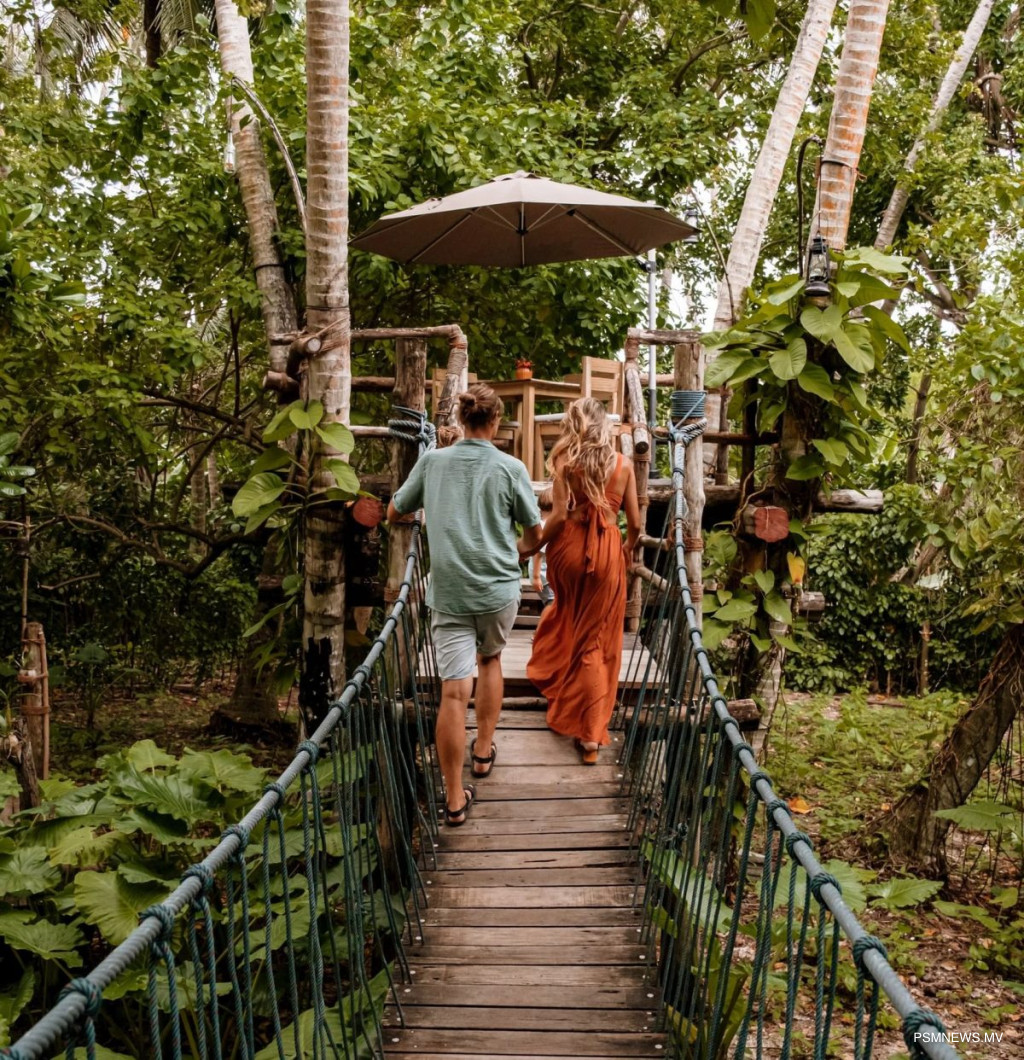 ފުރަތަމަ 3 މަސް: ގްރީން ޓެކުހުގެ ޢާމްދަނީ %39 އިތުރު