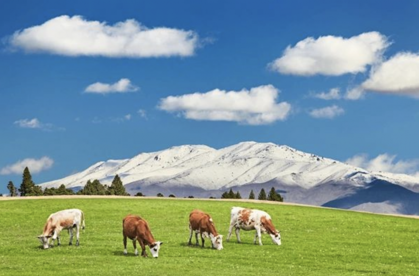 ހުނަރުވެރި ދިވެހީންގެ ހިޖުރަ: ދިވެހި ޤައުމަށް ގެއްލޭ "ރަންމުތް" ތަކެއް