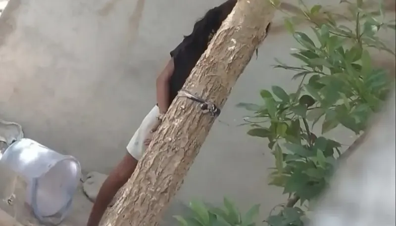 8 އަހަރުގެ އަންހެން ކުއްޖަކު ގަހެއްގައި ބަނދެ އަނިޔާކުރި މައްސަލައެއް ފުލުހުން ބަލަނީ