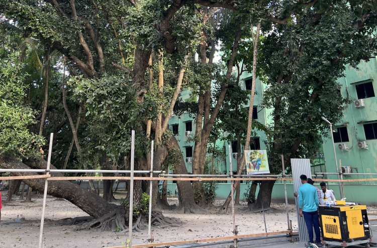 ފުނަވަލުގައި ހުރި ގަސް ކަނޑާތީ ފަންނީ މީހުންގެ ކަންބޮޑުވުން ހިއްސާކުރަން ކޮމިޓީގެ ބައްދަލުވުން ބާއްވައިދޭން އެދިއްޖެ