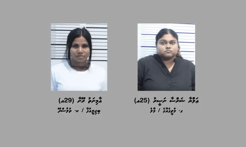 ވައިގެމަގުން ރާއްޖެއަށް މަސްތުވާތަކެތި އެތެރެކުރިކަމުގެ ތުހުމަތުގައި ދެމީހުން ހައްޔަރުކޮށްފި
