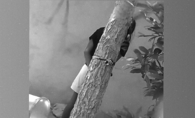 ކުޑަ އަންހެން ކުއްޖަކު ގަހެއްގައި ބަނދެފައި ބެހެއްޓި މައްސަލަ: ދެ ދުވަސް ވީއިރު މީހަކު ހައްޔަރުނުކުރޭ