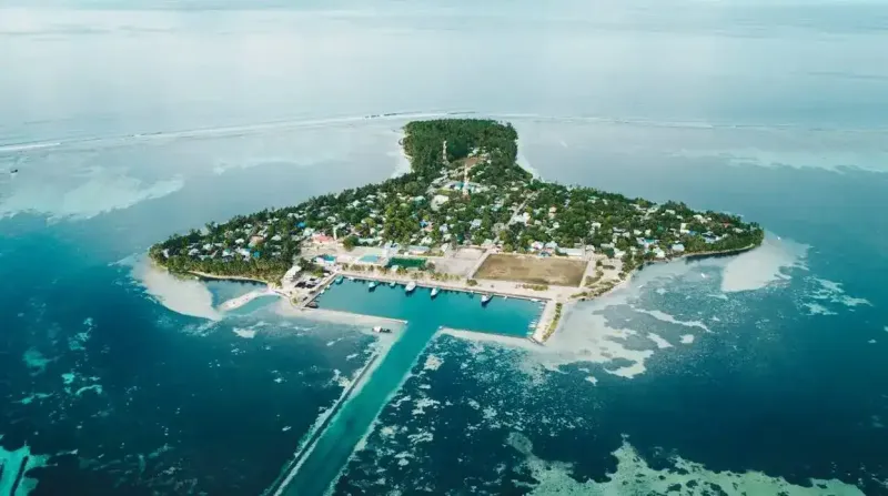 ލ. މާވަށުގައި ބާއްވާ ދެވަނަބުރުގެ ވޯޓުލުން: އެމްޑީޕީ ވެރިކަމުގައި ވަޒީފާ ލިބުނު ފެނަކައިގެ 12 މުވައްޒަފަކަށް ވޯޓުލާން ނުދިޔުމަށް ޑެޕިއުޓީ މެނޭޖަރު އަންގައިފި