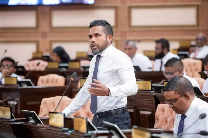 މޯލްޑިވްސް އެއަރޕޯޓްސް ކޮމްޕެނީ ލިމިޓެޑުން، މަސައްކަތް ނުކުރާ މުވައްޒަފުންނަށާއި މީޑިއާތަކަށް ފައިސާ ދޭ މައްސަލަ މަޖިލީހަށް