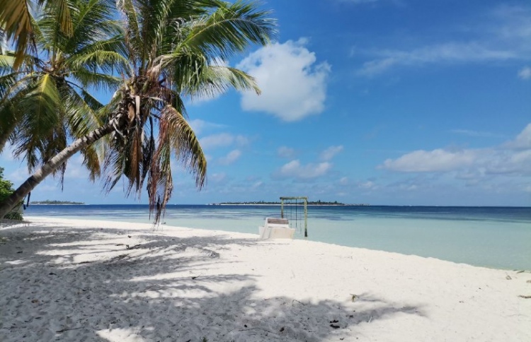 ލ. ހިތަދޫގައި މަސް ހިފަން އުޅުނު 22 އަހަރުގެ ޒުވާނަކު ގެނބިގެން ނިޔާވެއްޖެ
