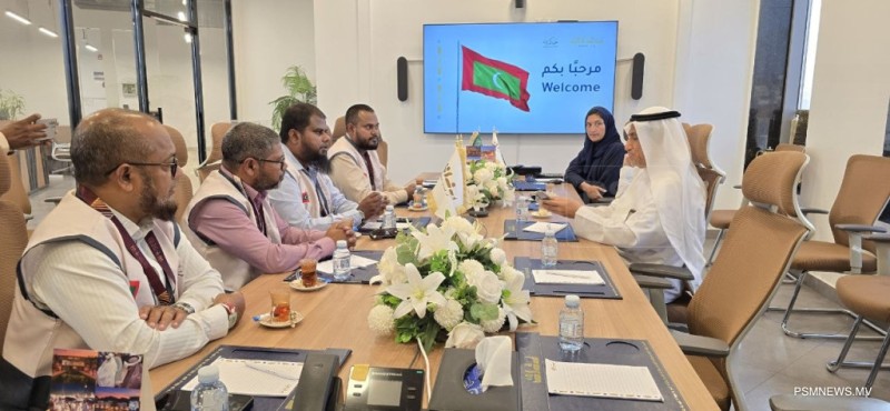 ދިވެހި ޙައްޖުވެރިންނަށް ފުރިހަމަ އިންތިޒާމުތަކެއް ހަމަޖެހޭނެ: ރަވާފް މިނާ