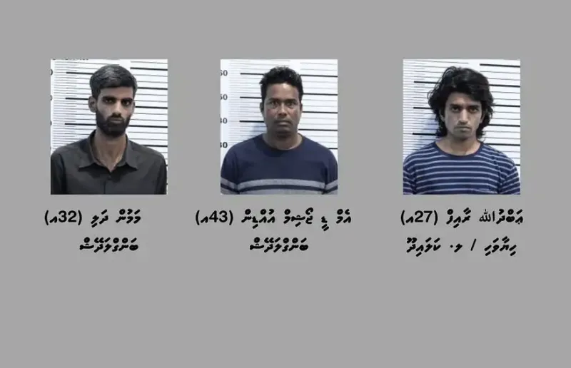 21 ކިލޯ މަސްތުވާތަކެތި ހޯދައި ތިން މީހުން ހައްޔަރުކޮށްފި
