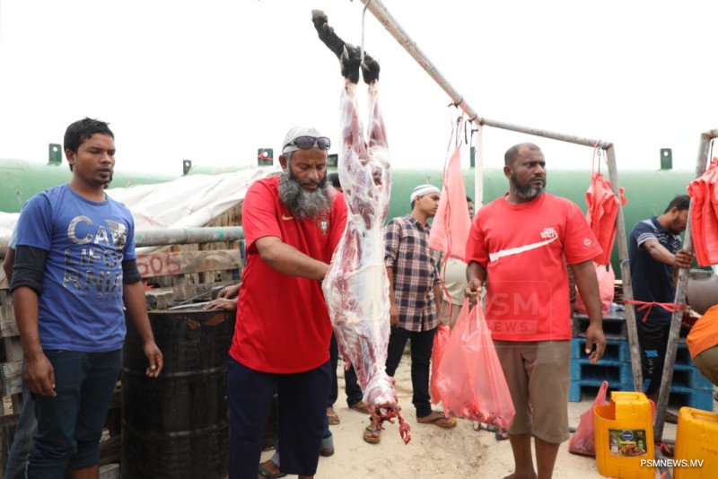 އުޟްޙިޔާ ކަތިލުން: މުސްލިމު އުންމަތުގެ ގުޅުމާއި އިޚްލާޞްތެރިކަމުގެ ރަމްޒެއް