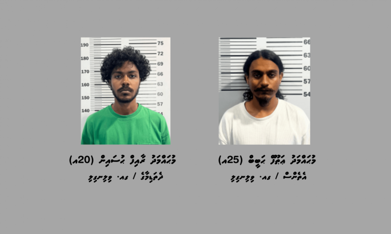 ކުޑަކުދިން ލައްވާ ޑުރަގު ވިއްކިކަމުގެ ތުހުމަތުގައި ވިލިނގިލިން ދެ މީހަކު ހައްޔަރުކޮށްފި