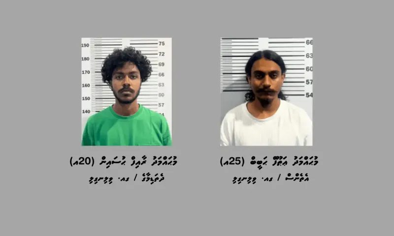 ކުޑަކުދިން ބޭނުންކޮށްގެން މަސްތުވާތަކެތީގެ ވިޔަފާރިކުރި ދެ މީހަކު ވިލިނގިލިން ހައްޔަރުކޮށްފި