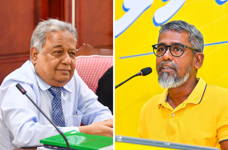 މަޖިލީހުގެ ނައިބު ރައީސަކަށް ސަލީމާއި ޒިޔާދުގެ ނަން
