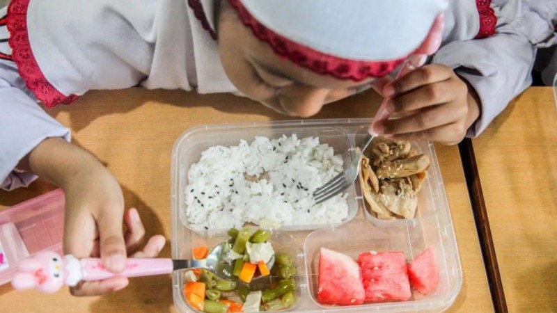 ކާނާ ވިހަ ވާތީ, އިންޑޮނޭޝިއާގެ ހިލޭ ކާންދޭ ޕްރޮގްރާމުގެ ވެރިޔާ މަގާމުން ވަކިކޮށްފި