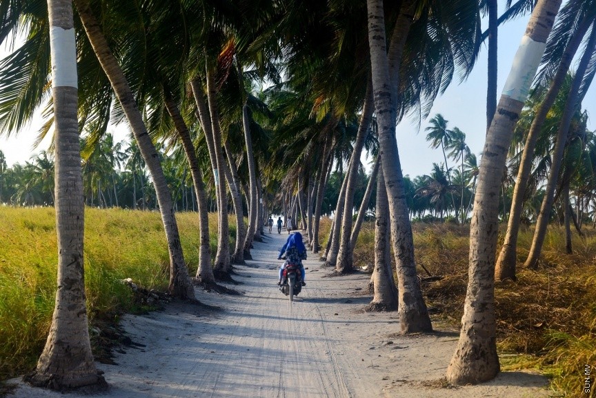 ތޮއްޑޫގައި ކޮންމެ ނަމާދަކަށް 30 މިނެޓަށް ކުޅިވަރު ކުޅޭ ތަންތަން ބަންދުކުރަން ނިންމައިފި