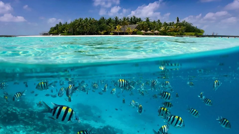 ކަނޑުތަކުގެ ދުވަސް: ދެމެހެއްޓެނިވި މުސްތަޤްބަލަކަށް ކަނޑުތައް ހިމާޔަތްކުރަންޖެހޭ