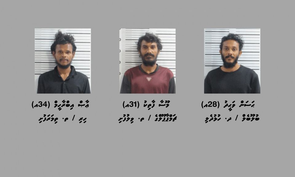 މަސްތުވާތަކެތީގެ މައްސަލައެއްގައި ވިލުފުށިން ތިން މީހުން ހައްޔަރުކޮށްފި