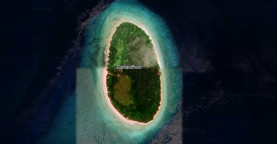 ދަނޑުވެރިކަމުގެ މަސައްކަތްތަކަށް ށ.ގައްލައިދޫ ބީލަމަށް ހުޅުވާލައިފި