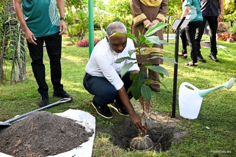 ތިމާވެށި ހިމާޔަތްކުރަން ގްރީން ފަންޑުން އަހަރަކު 7 މިލިޔަން ރުފިޔާ ޚަރަދުކުރަނީ