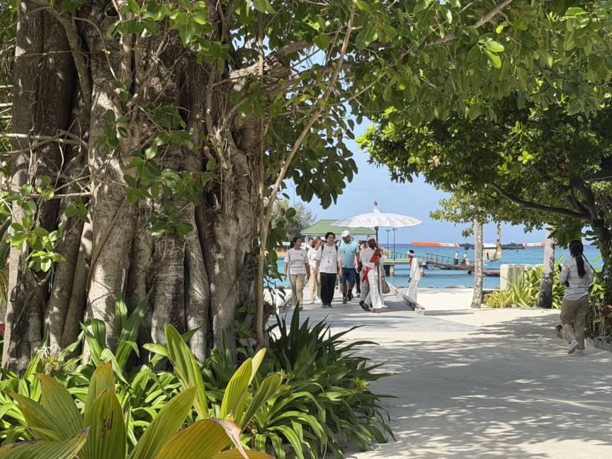 ބޮބްމާލީގެ ލަވަ އަޑުއަހާ ދަނޑިފުޅުދޫނި