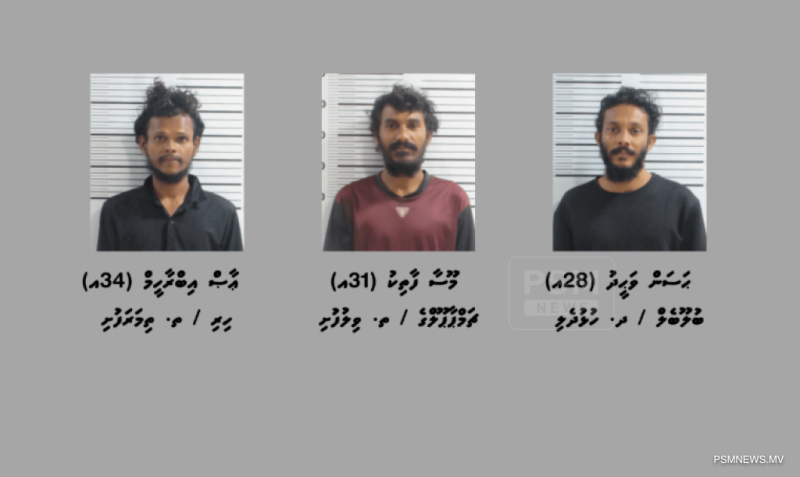 މަސްތުވާތަކެތީގެ މައްސަލައެއްގައި ވިލުފުށިން ބަޔަކު ހައްޔަރުކޮށްފި