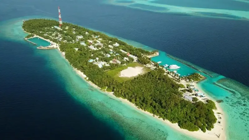 ހަންޏާމީދޫގައި ކުޑަ ކުއްޖަކު ބަގީއަކާއެކު މޫދަށް ވެއްޓި މަރުވެއްޖެ