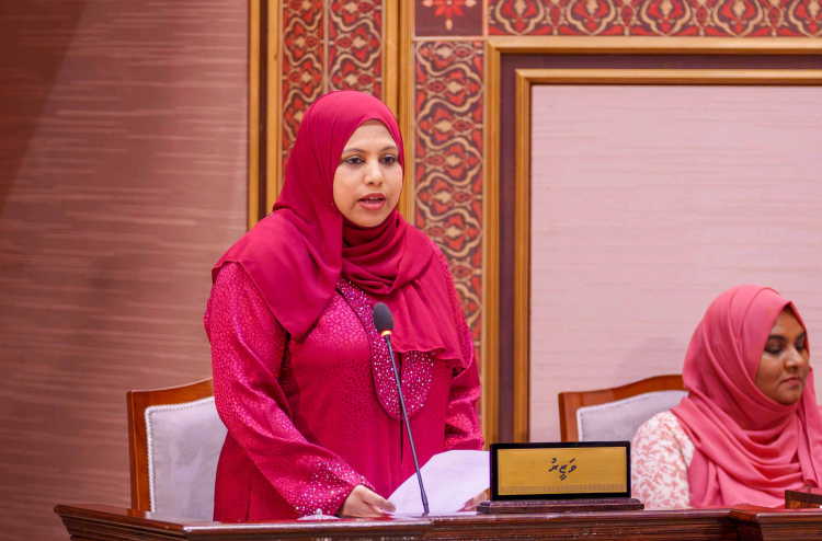 ޗައިނާ ސަރުކާރާ ގުޅިގެން ދާރުލްއާސާރު ތަރައްގީކުރަނީ