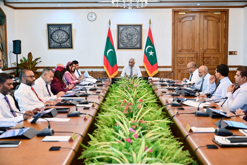 ދުވަހުން ދުވަހަށް މަޝްރޫއުތަކުގެ ކަންކަން ބެލުމަށް، ކޮންމެ މިނިސްޓްރީއެއްގައި ޚާއްސަ ޔުނިޓެއް އުފައްދަނީ