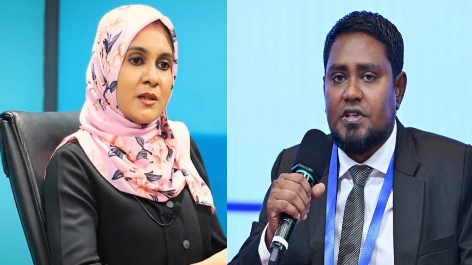 ޓެކްސް ކޮމިޝަނަރަކަށް އަމީޒާއާއި ހަލީމްގެ ނަން ފޮނުވައިފި