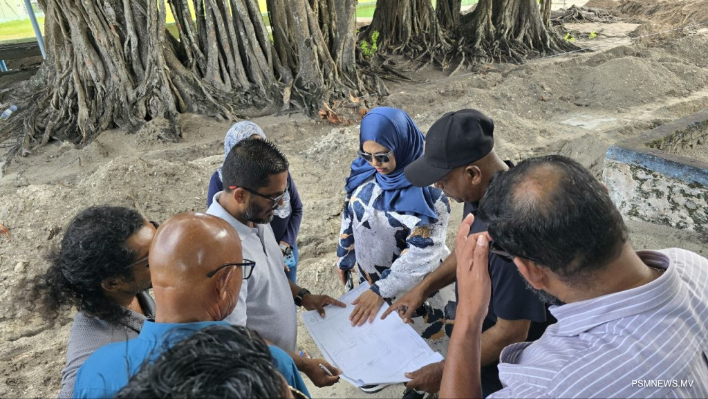 ބާރަށުގައި ހުރި އިތުރު އާސާރުތައް ހިމާޔަތްކުރަނީ