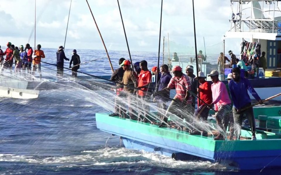 މަސްވެރިންނަށް ދަތި ނުވާނޭހެން އައިސް ވިއްކޭނެ އިންތިޒާމް ހަމަޖެއްސުމަށް އެދިއްޖެ