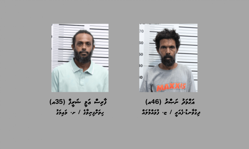 ހާޑްވެއާ ފިހާރައެއްގެ ބިއްލޫރިގަނޑު ތަޅާލައި، ލޮއިނަރުތަކެއް ވަގަށް ނެގުމުގެ ތުހުމަތުގައި ދެ މީހުން ހައްޔަރަށް