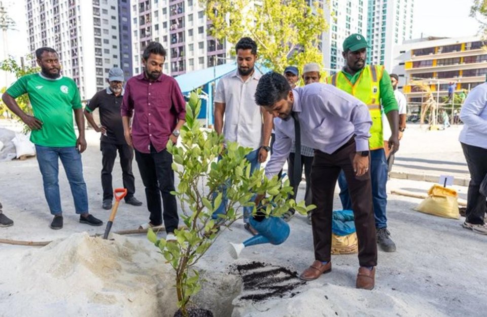 ބޭސްވެރިކަމަށް ބޭނުންކުރާ ގަސް އިންދުމުގެ ހަރަކާތެއް ކުރިއަށް ގެންގޮސްފި