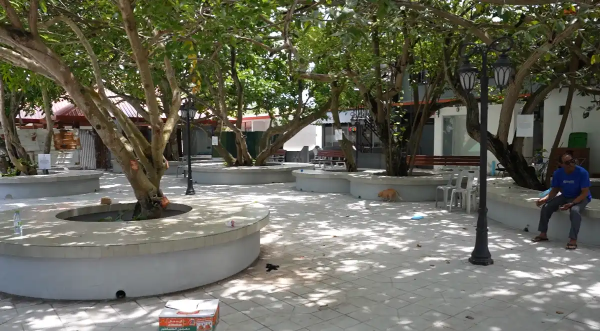 މަޝްރޫއު ފުރިހަމަވުމުން އެކި ބޭނުންތަކުގައި ރަށަށް ޒިޔާރަތްކުރާ ފަރާތްތަކަށް ލޮބީ އޭރިއާއެއްގެ ގޮތުގައި ވެސް އެތަން ބޭނުންކުރެވޭނެ