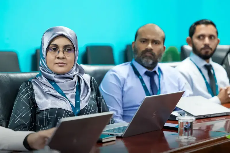 މީރާގެ ޑެޕިއުޓީ ކޮމިޝަނަރ ޖެނެރަލް އޮފް ޓެކްސޭޝަންގެ މަޤާމަށް ކުރިމަތިލުމަށް ފުރުޞަތު ހުޅުވާލައިފި