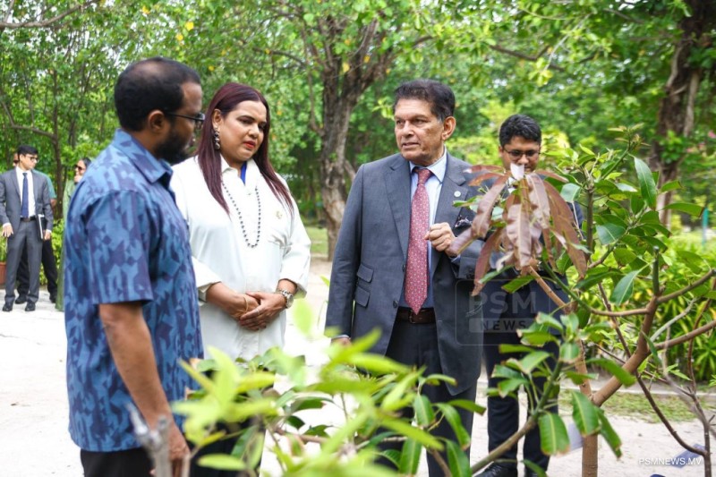 ބަންގްލަދޭޝްއިން ރާއްޖެއަށް 20،000 ގަސް ހަދިޔާކޮށްފި